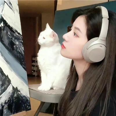 我为琴狂